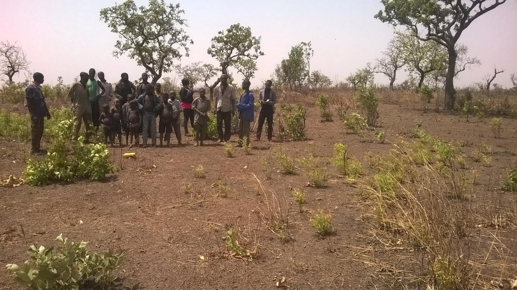 LAND HAS BEEN DONATED. BUILDING THE SCHOOLS COMES NEXT.